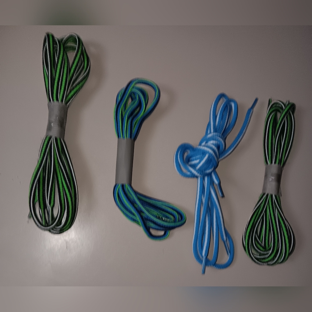 Balenciga Shoe Laces (4pr)